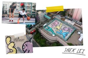 shek lei grind court